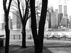 Clark St/Brooklyn Heights Promenade, Brooklyn, NY 11201 | 1991 (Ref 922707)